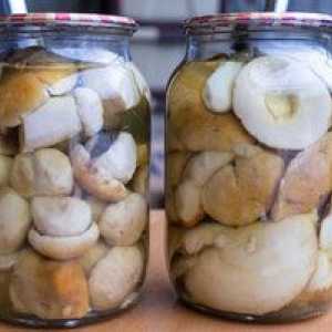 Biele huby marinované na zimu: recepty na varenie