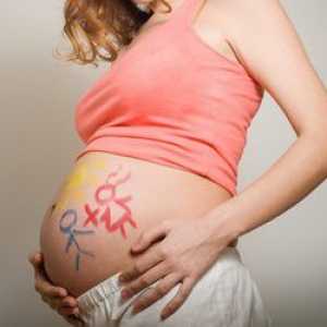 Tehotenstvo dvojčiat: znaky tehotenstva, kalendár týždňov