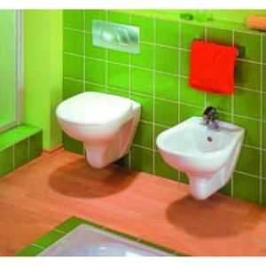 Bidet spolu s toaletnou miskou: výber sanitárneho inžinierstva "dva v jednom"