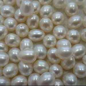Čo to je - kultivované perly