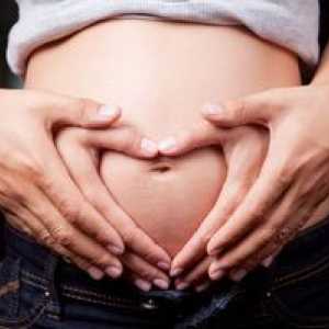 Čo by som mal vedieť o deviatom týždni materstva v tehotenstve?