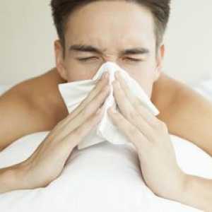Čo je alergická rinitída: príznaky a liečba