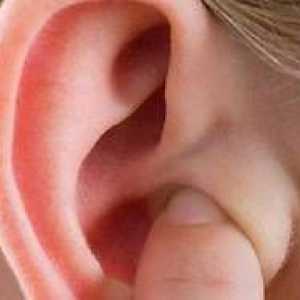 Čo je tragus ucha. Bolesť pri stlačení