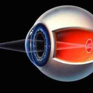 Čo je refrakcia oka, jeho hlavné typy