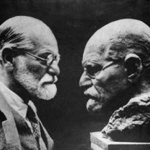 Čo znamená Freud "to"?