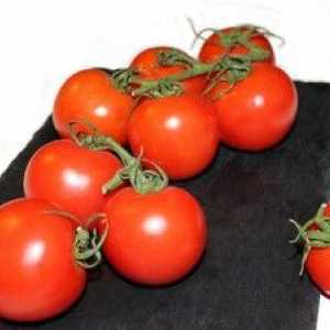 Domáca konzervácia paradajok na zimu: recepty polotovarov