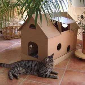 Dom pre mačky s vlastnými rukami: ako to urobiť