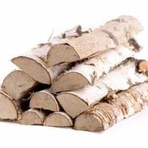 Palivové drevo z brezov a podmienky ich použitia