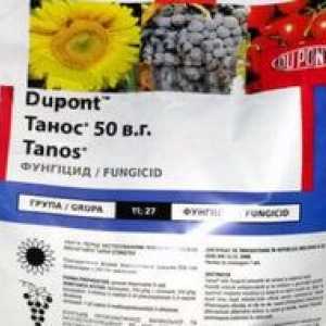 Fungicidné tanos: návod na použitie lieku, zloženie
