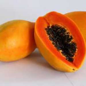 Kde rastie a ako vyzerá papája, užitočné vlastnosti ovocia
