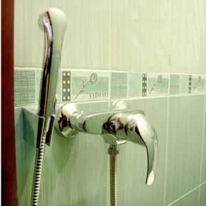 Hygienické sprchy na toalete: inštalačné funkcie a fotografie