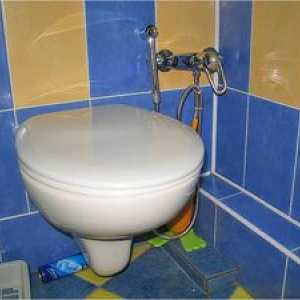 Hygienická sprcha na toalete: výhľady a fotografie