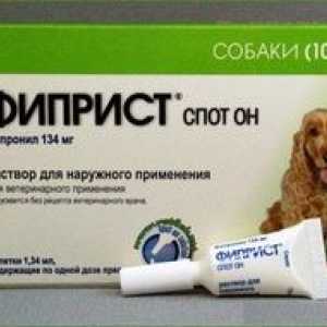 Pokyny na používanie lieku fistprist spot to pre psov a mačky