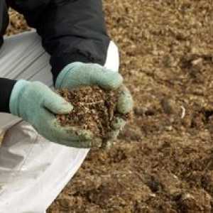 Použitie hnoja ako hnojiva