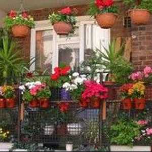Box, hrniec alebo kvetináč na pestovanie kvetov na balkóne
