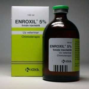 Enroxyl: návod na použitie vo veterinárnej medicíne