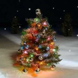 Prečo snívať o zelenej vianočný stromček?