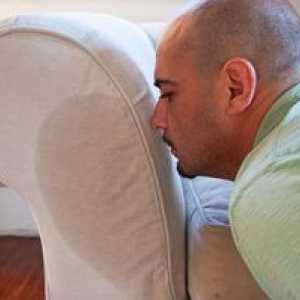 Ako sa zbaviť zápachu moču na gauči ľudovými metódami