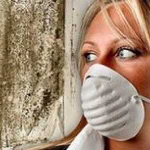 Ako sa zbaviť vône vlhkosti v byte