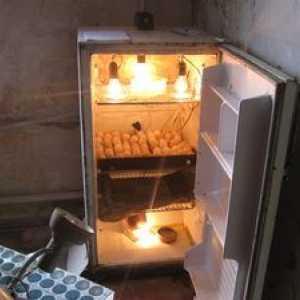 Ako vytvoriť inkubátor z chladničky s vlastnými rukami