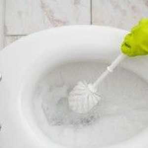 Ako čistiť toaletu od vápna a močového kameňa?