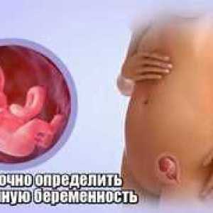 Ako určiť mimomaternicové tehotenstvo