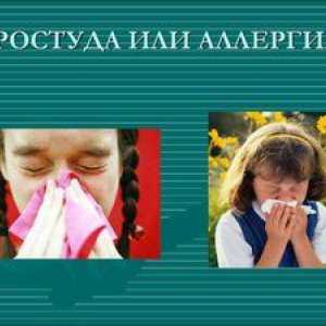 Ako rozlíšiť alergiu od nachladnutia u dospelých a detí