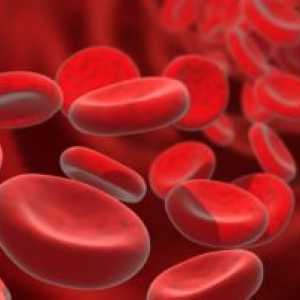 Ako zvýšiť hladinu hemoglobínu detí?