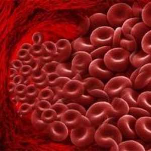 Ako znížiť hladinu hemoglobínu v krvi človeka?