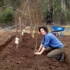 Ako zasadiť strom a starostlivo sa oň starať