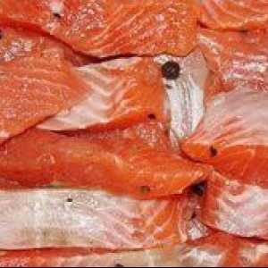Ako upečiť chutné červené ryby? Vyrábame soľanku