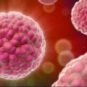 Ako prejsť analýzu HPV: liečba papilomavírusu u žien