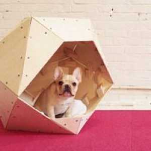 Ako urobiť dom pre psa s vlastnými rukami