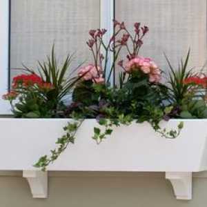 Ako si vybrať balkónové krabičky na kvety na balkóne?