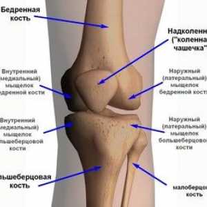 Aké sú ochorenia kolenného kĺbu: popis a mená