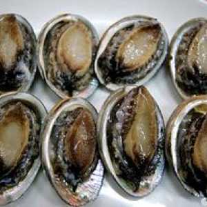 Abalone kameň a mäkkýše "morské uši"