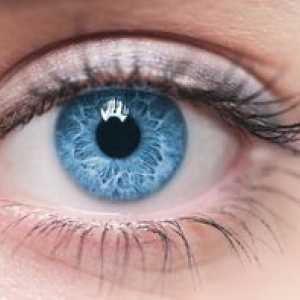 Konjunktiválny vak v oku: Čo je to, kde sa nachádza táto dutina?