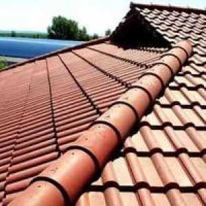 Kritériá pre výber materiálov na pokrytie strechy domu