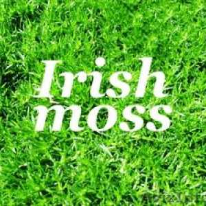 Liečivé vlastnosti írskych machov, recepty a recenzie
