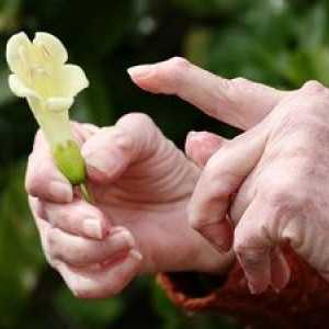 Liečba reumatoidnej artritídy s ľudovými prostriedkami a výživou