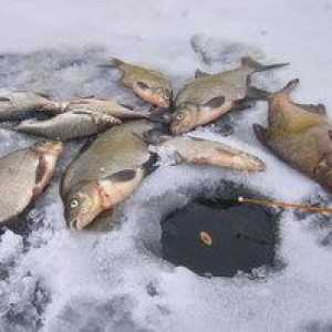 Chytľavý chvost v zime: tipy na úspešný zimný rybolov z ľadu