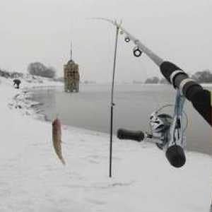 Chytanie na podávači z ľadu: výber výstroja a tajomstvo rybolovu v zime