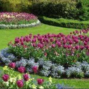 Žiarovky trvalky: kvety harmonickej záhrade