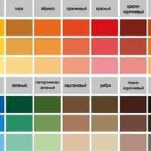 Umývateľná farba na steny v kuchyni - typy a výrobcovia