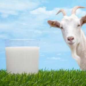Prírodné kozie mlieko a jeho priaznivé vlastnosti