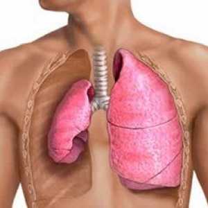 Obturačná a kompresná atelectáza pľúc: čo to je?