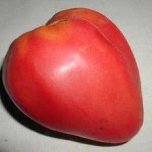 Popis rajčiaka odrody Mazarin: výsadba a starostlivosť
