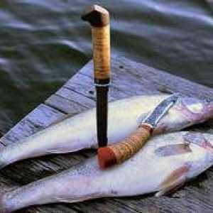 Základné modely rybárskych nožov pre rybolov