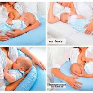 Základné postoje pre dojčenie novorodenca