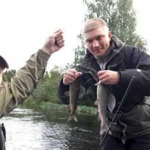 Charakteristiky lovu lipa: popis rýb a čo sa chytiť
